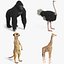 gorilla ostrich meerkat 3D model
