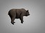 Bears pack
