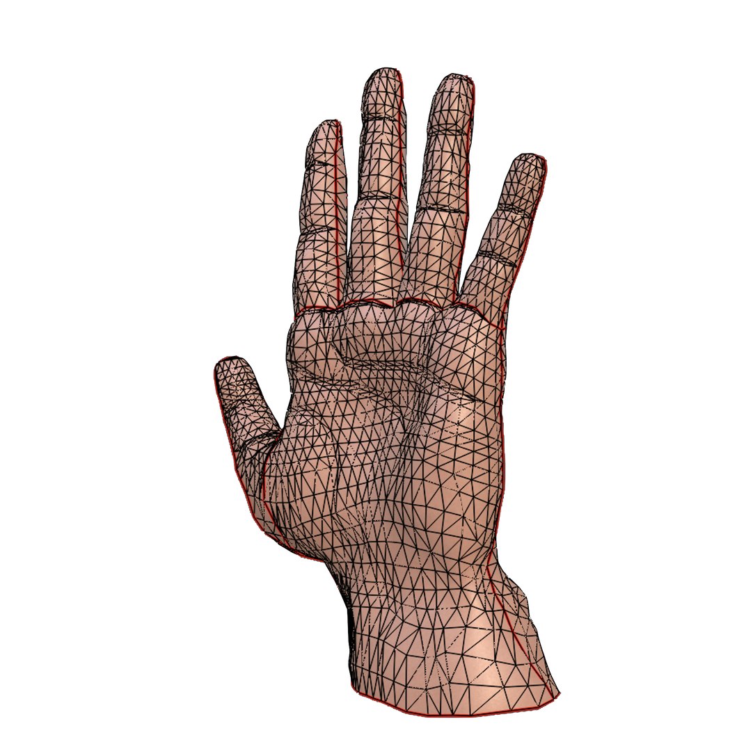 Human Hand - Anatomically Accurate Rigged And Animated With Skin ...