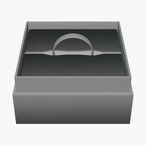 Basic Ring Box Display - Geometry Only No Textures No Materials