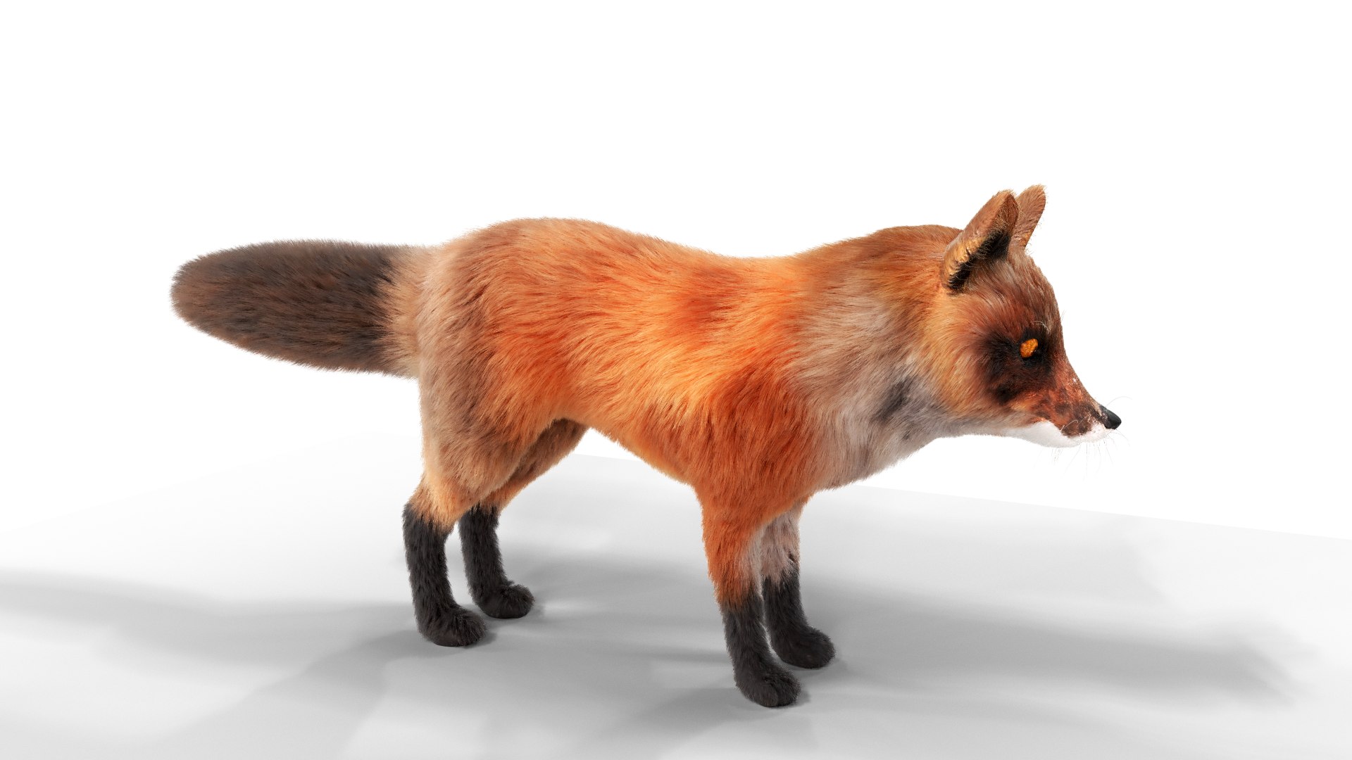 3D Hair Fur Red Fox Low-poly 3D Model Model - TurboSquid 1720406