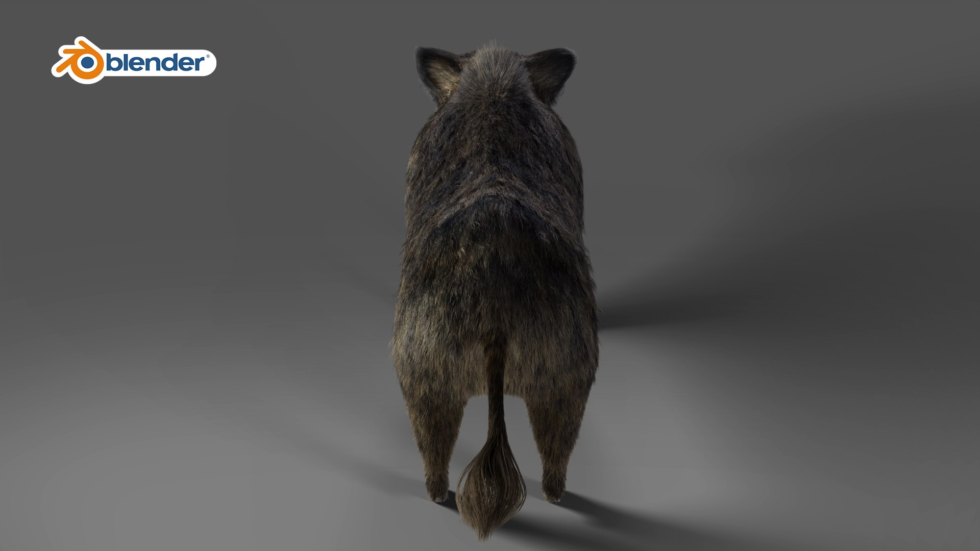 3D Fur Wild Boar Rigged and Animation in Blender model https://p.turbosquid.com/ts-thumb/Uh/zowur9/0e/03/jpg/1669019327/1920x1080/fit_q87/3deed0b9d4e025b513d249e5c58ce8a008513df7/03.jpg