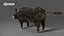 Pelliccia di cinghiale truccata e animazione in Blender