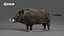 Pelliccia di cinghiale truccata e animazione in Blender