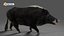 Pelliccia di cinghiale truccata e animazione in Blender