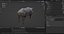 Pelliccia di cinghiale truccata e animazione in Blender