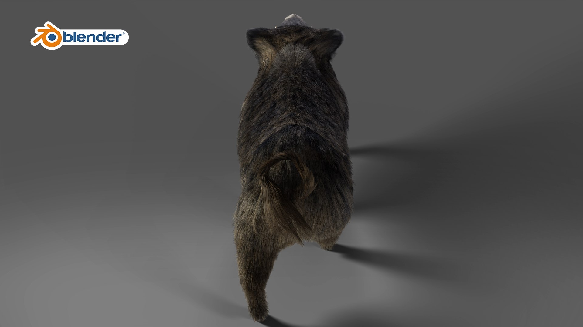 3D Fur Wild Boar Rigged and Animation in Blender model https://p.turbosquid.com/ts-thumb/Uh/zowur9/on/09/jpg/1669019333/1920x1080/fit_q87/f6d63212f4c8503fa1117d88889f1bc69b3205c2/09.jpg