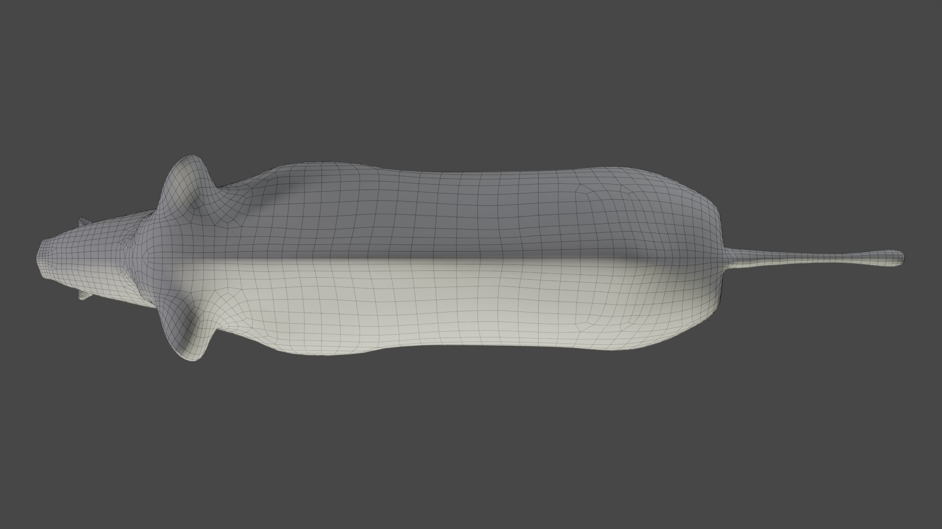 3D Fur Wild Boar Rigged and Animation in Blender model https://p.turbosquid.com/ts-thumb/Uh/zowur9/yk/wire0002/png/1669019584/1920x1080/fit_q87/aca4a77bdbb8c1ab7a75d83e43deb9b4ab401ef6/wire0002.jpg