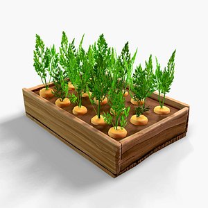 3D carrots vegetable bed model