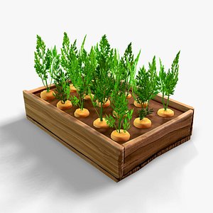 3D carrots vegetable bed model