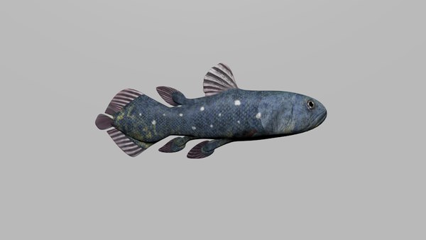 3d coelacanth model