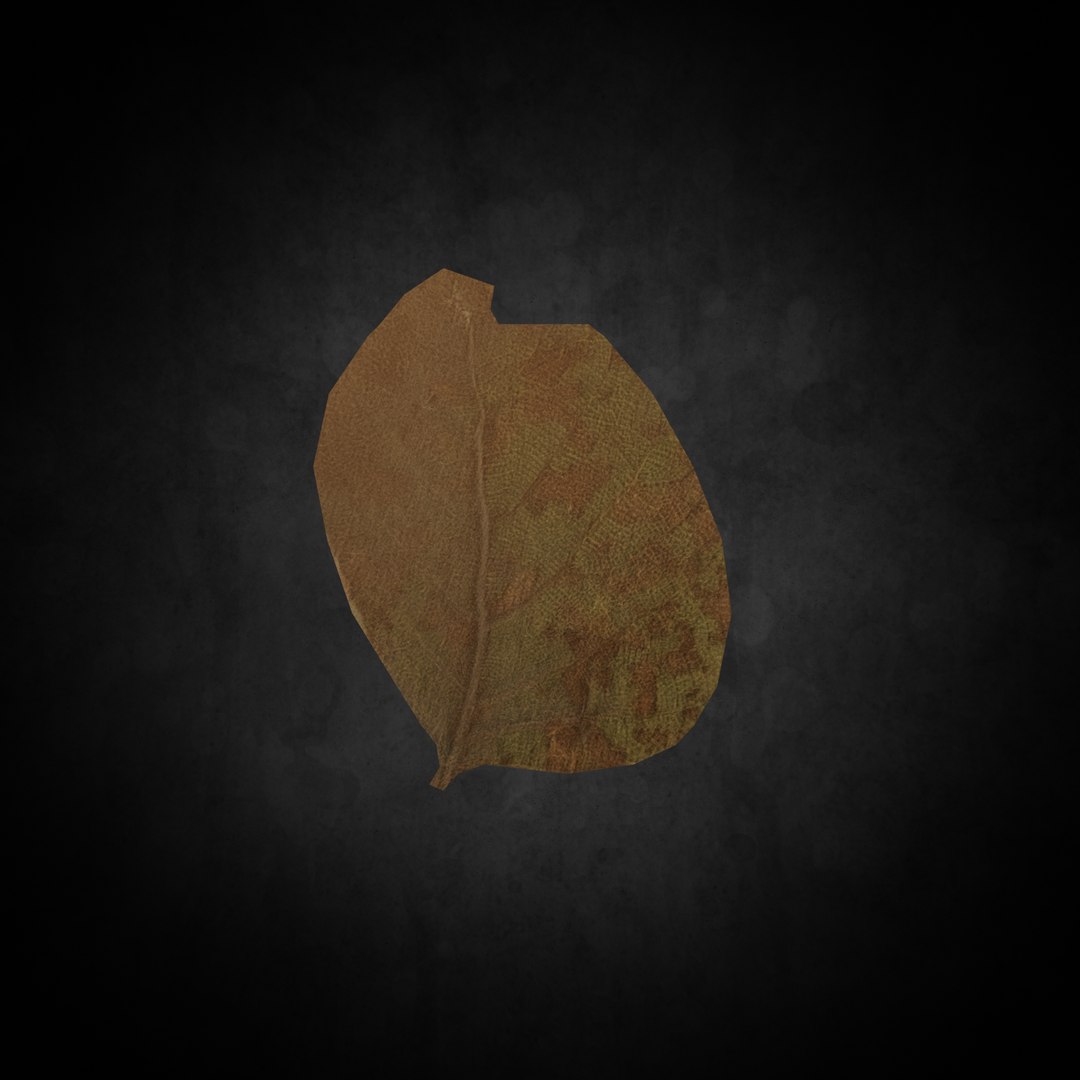 3D Low Poly Leaf 026 model https://p.turbosquid.com/ts-thumb/Ui/B3evd0/1t/05/png/1644382797/1920x1080/fit_q87/b7347c581dc6a29617fdb1632c70562e4dd5ef3f/05.jpg