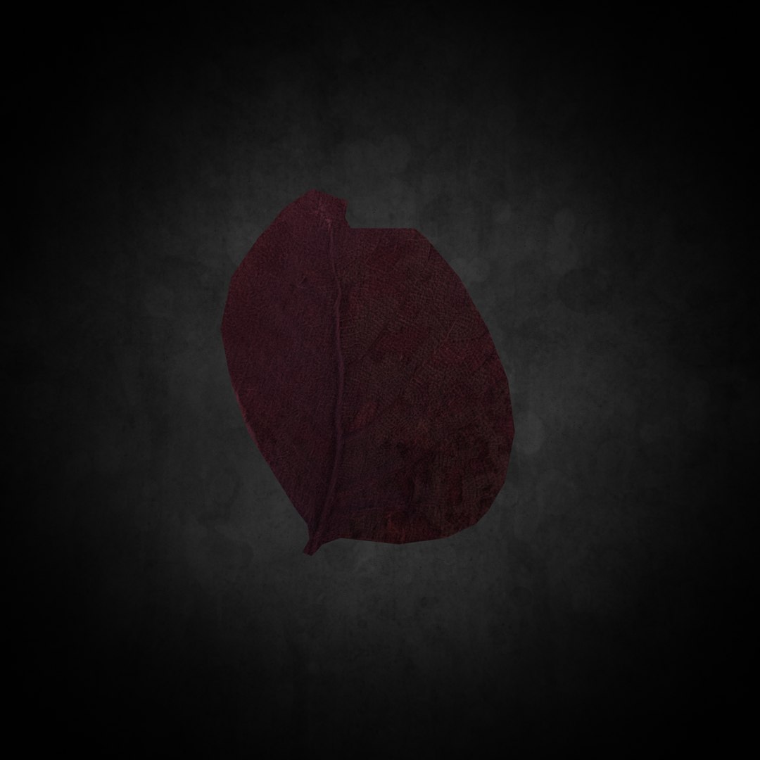 3D Low Poly Leaf 026 model https://p.turbosquid.com/ts-thumb/Ui/B3evd0/QS/03/png/1644382797/1920x1080/fit_q87/72623cdf003a1213209f99436fc3b20ec6a93b67/03.jpg
