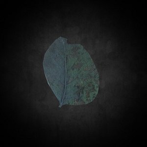 3D Low Poly Leaf 026 model