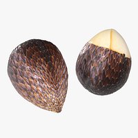 Salak Fruit