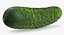 3D vegetables cucumber beetroot model