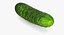 3D vegetables cucumber beetroot model