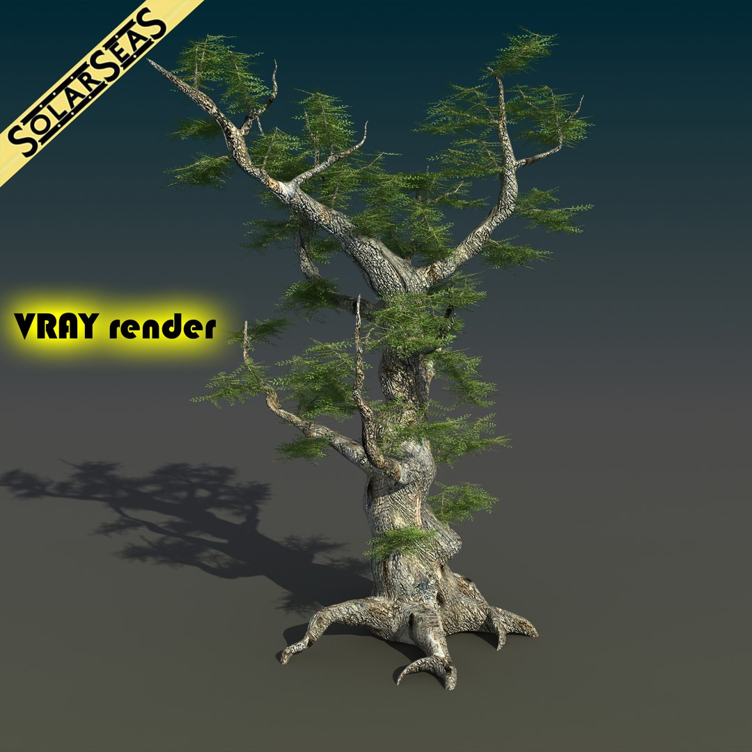 Max Scanline Ash Tree