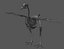 Chicken anatomy in T-pose