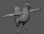 Chicken anatomy in T-pose