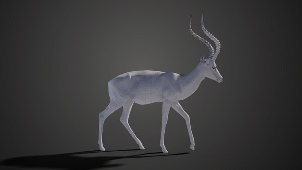 Impala rigging animation 3D - TurboSquid 1660643