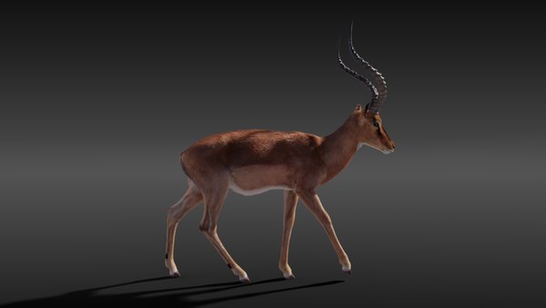 Impala rigging animation 3D - TurboSquid 1660643