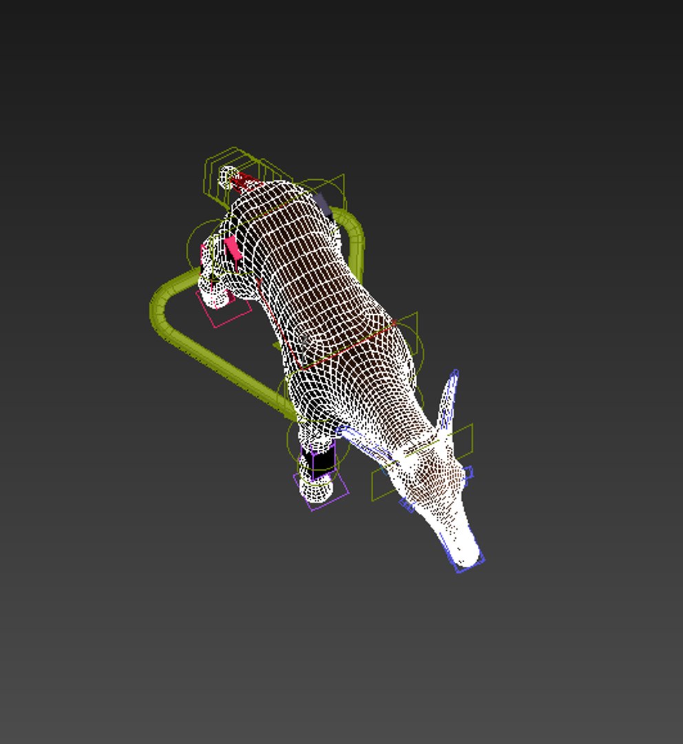 3D Okapi Low-poly Model - TurboSquid 1461584