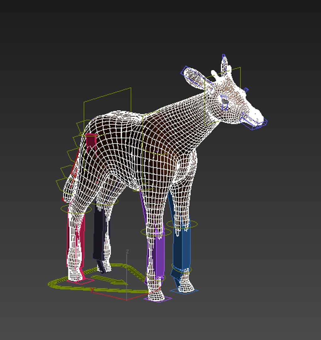 3D Okapi Low-poly Model - TurboSquid 1461584