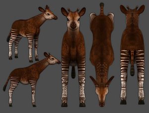 3D okapi low-poly model