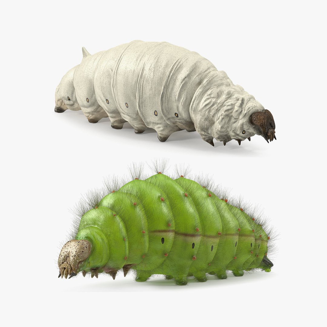 Double - Silkworms Fur Rigged Collection 3D model preview