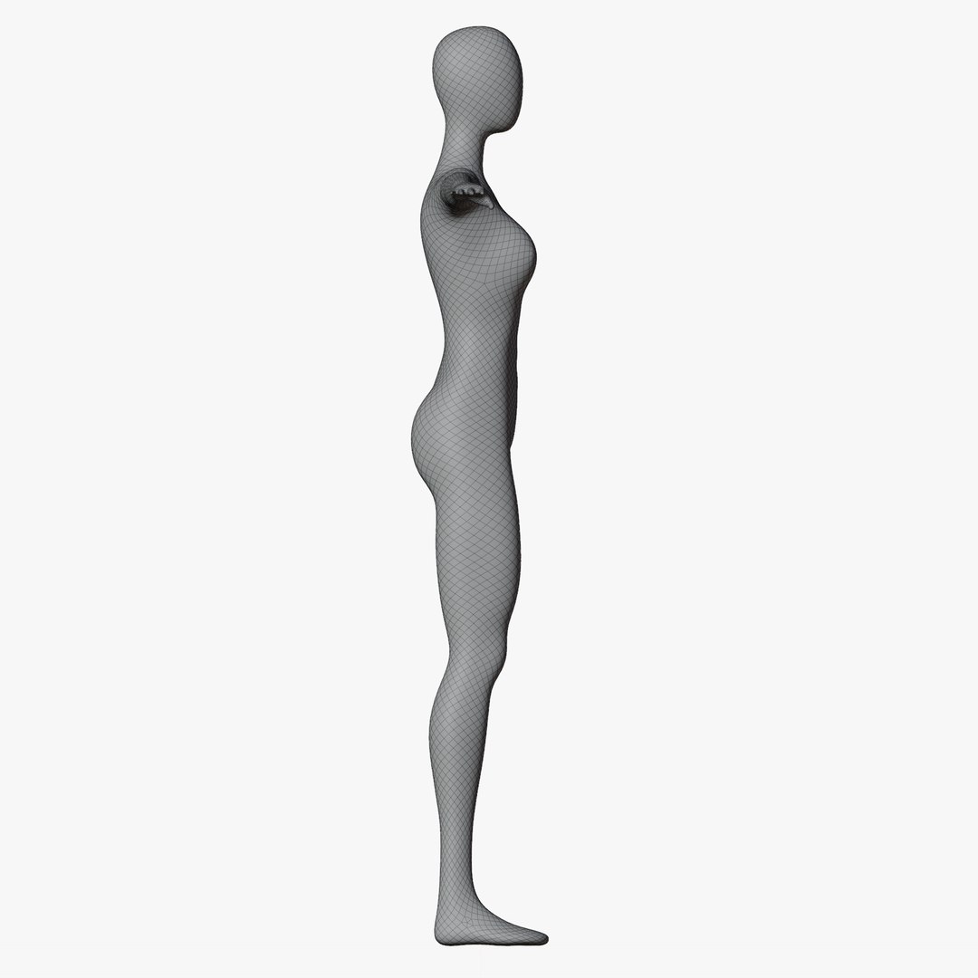 3D Animated Female Mannequin 02 https://p.turbosquid.com/ts-thumb/Ui/oQEArJ/Ob/wiretpose55/png/1729325405/1920x1080/fit_q87/642d1613ce580b88186ab4041964e02c3c8299f8/wiretpose55.jpg