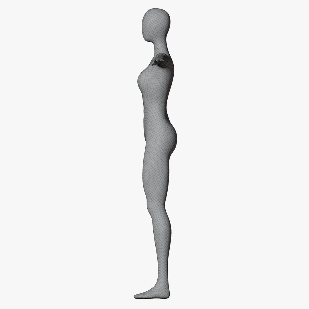 3D Animated Female Mannequin 02 https://p.turbosquid.com/ts-thumb/Ui/oQEArJ/a1/wiretpose19/png/1729325404/1920x1080/fit_q87/a07164aeecdefea09ca5db6d1bc69bbc466f79bf/wiretpose19.jpg