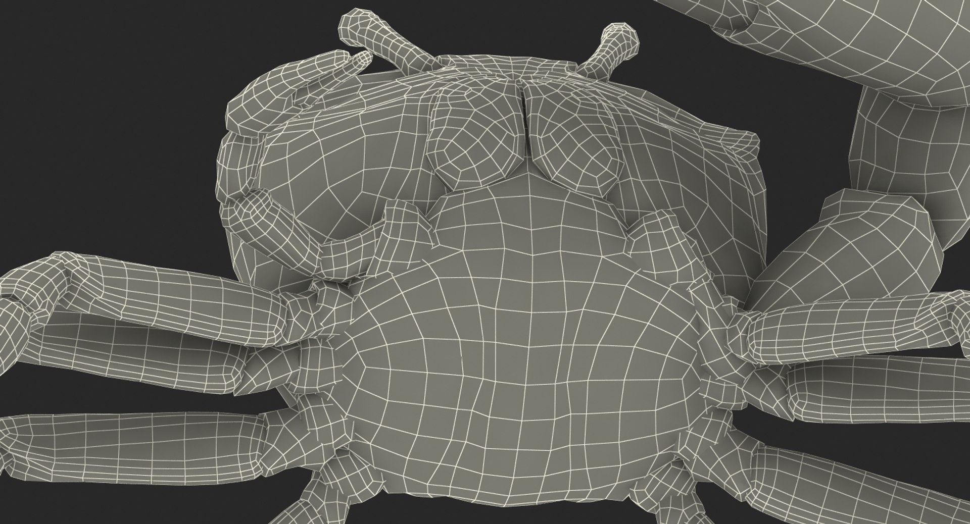 calling crab standing pose 3d model https://p.turbosquid.com/ts-thumb/Ui/uXPaap/EvXb7dty/callingcrabstandingpose3dmodel022/jpg/1490268955/1920x1080/fit_q87/2610643e63077796518fe673483b7b16b3dd2efb/callingcrabstandingpose3dmodel022.jpg