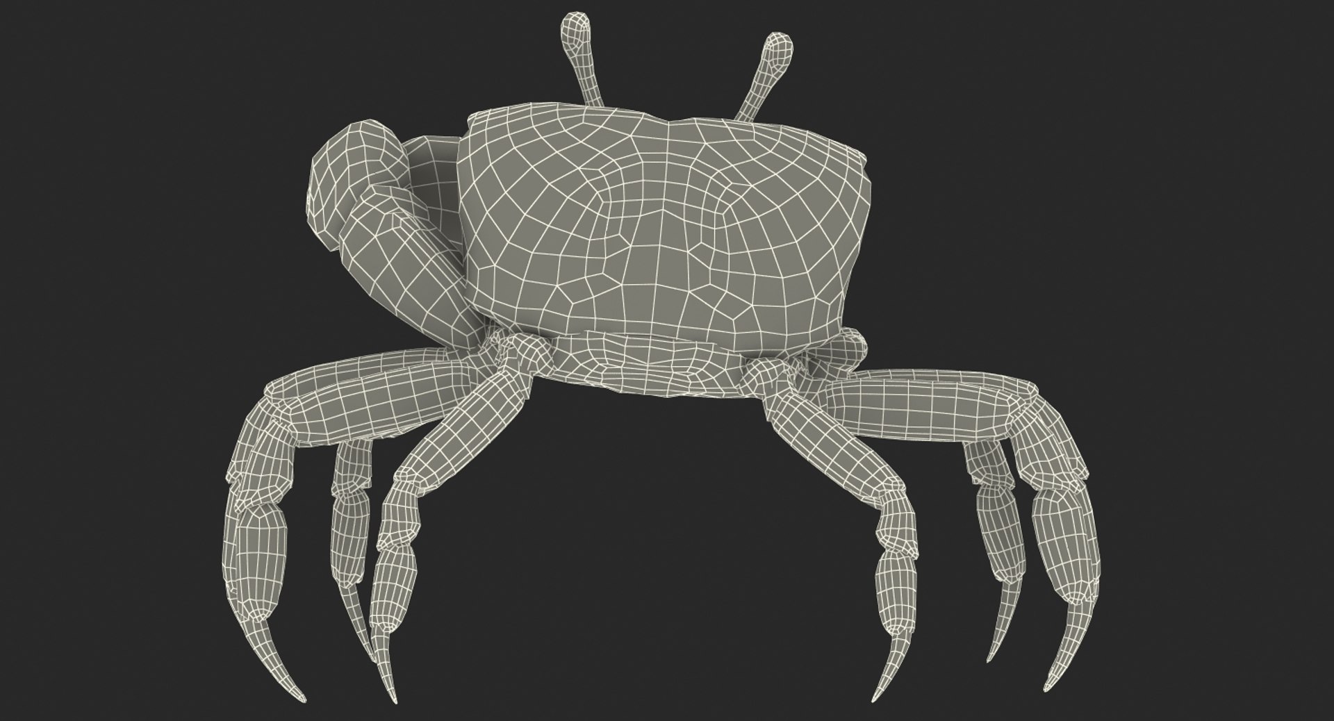calling crab standing pose 3d model https://p.turbosquid.com/ts-thumb/Ui/uXPaap/GN7bVJui/callingcrabstandingpose3dmodel019/jpg/1490268955/1920x1080/fit_q87/d095dc218ee797592074cf687b47fa96653dffb2/callingcrabstandingpose3dmodel019.jpg