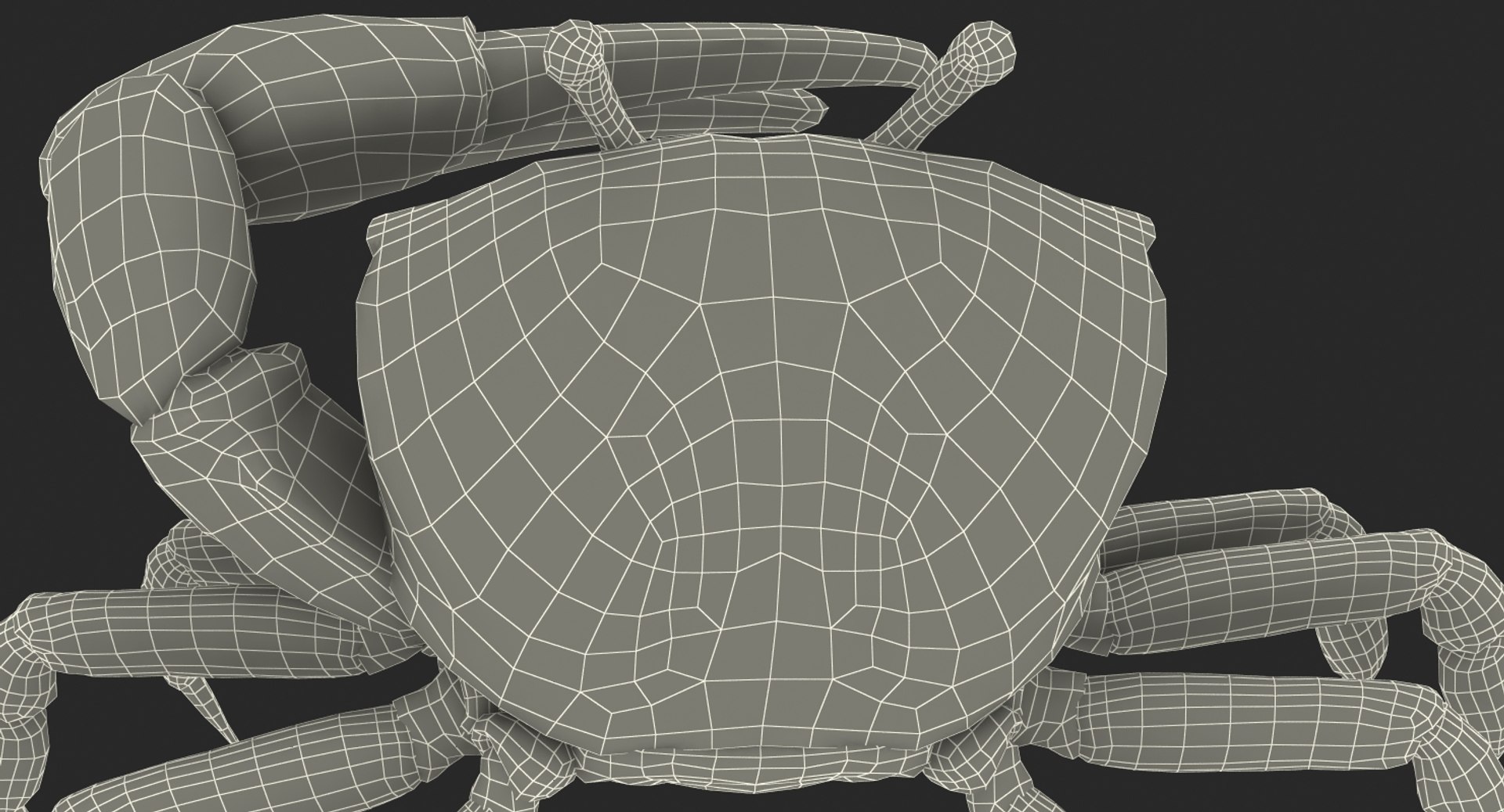 calling crab standing pose 3d model https://p.turbosquid.com/ts-thumb/Ui/uXPaap/dMv2RFeu/callingcrabstandingpose3dmodel023/jpg/1490268955/1920x1080/fit_q87/c082b13ae703e99bd9b02171b71291f031ee508b/callingcrabstandingpose3dmodel023.jpg
