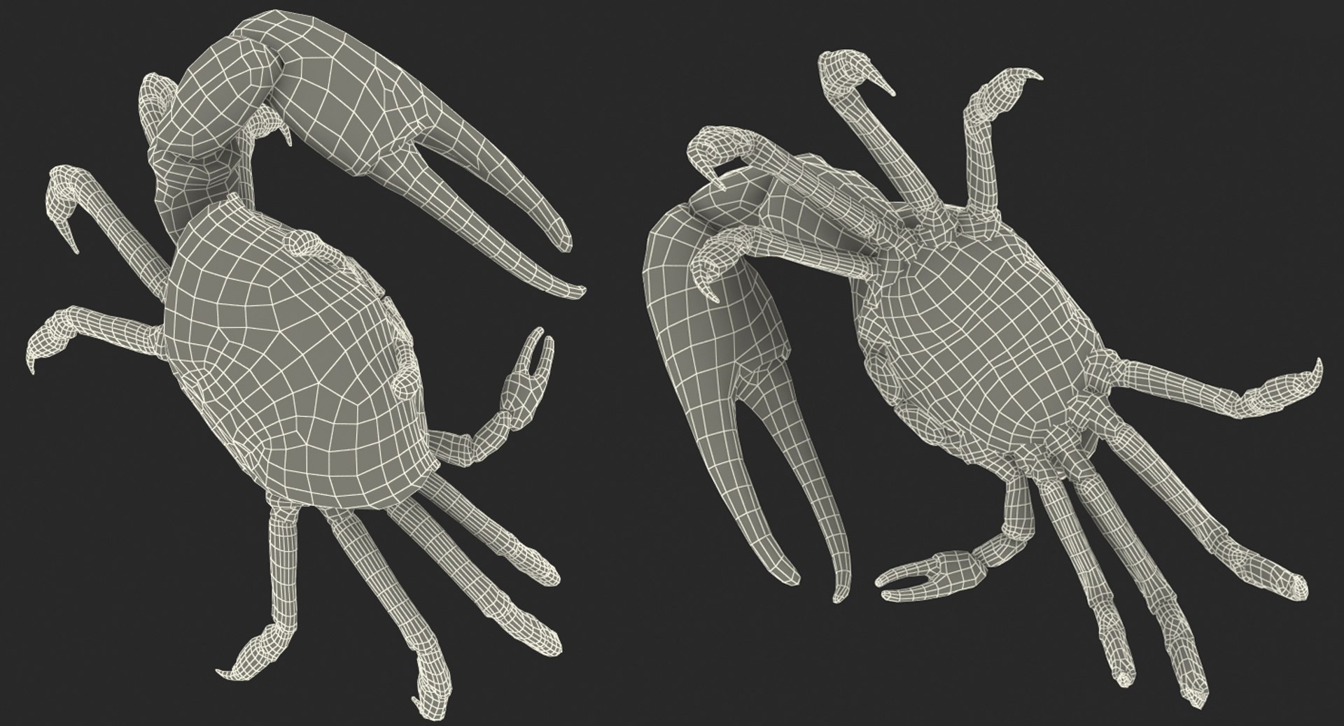calling crab standing pose 3d model https://p.turbosquid.com/ts-thumb/Ui/uXPaap/hmM0MZsF/callingcrabstandingpose3dmodel024/jpg/1490268955/1920x1080/fit_q87/1f3f860c9de0870990430838e73cd8ef50f3ea44/callingcrabstandingpose3dmodel024.jpg