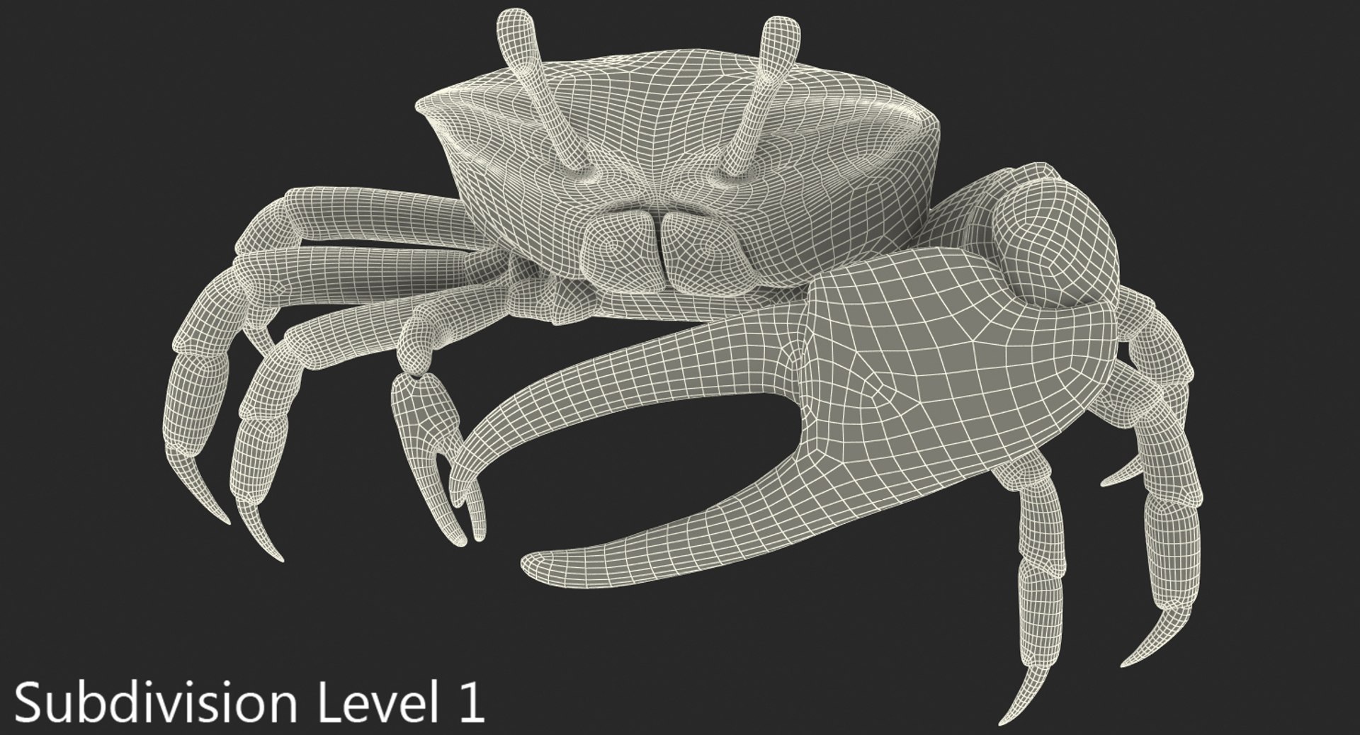 calling crab standing pose 3d model https://p.turbosquid.com/ts-thumb/Ui/uXPaap/wMe0Tcoa/callingcrabstandingpose3dmodel013/jpg/1490268955/1920x1080/fit_q87/1694db2a91c70c894c8c95fd289090428676c1e9/callingcrabstandingpose3dmodel013.jpg