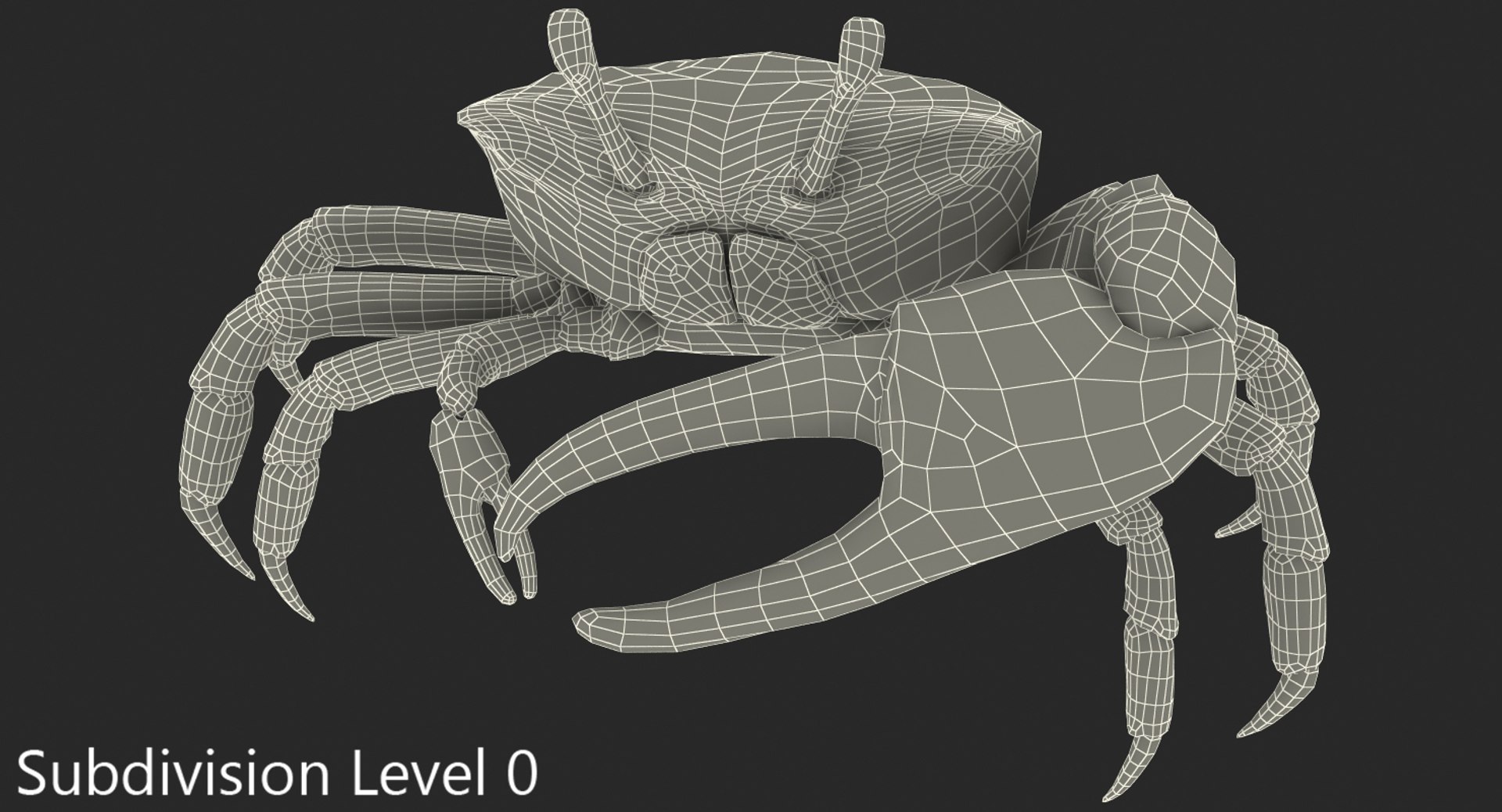 calling crab standing pose 3d model https://p.turbosquid.com/ts-thumb/Ui/uXPaap/z8Ip8sUL/callingcrabstandingpose3dmodel012/jpg/1490268954/1920x1080/fit_q87/9fba1b4c5a4f5d1f3539c96f4e7b9a11b69263ce/callingcrabstandingpose3dmodel012.jpg