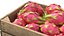 Dragon Fruit Wooden Crate