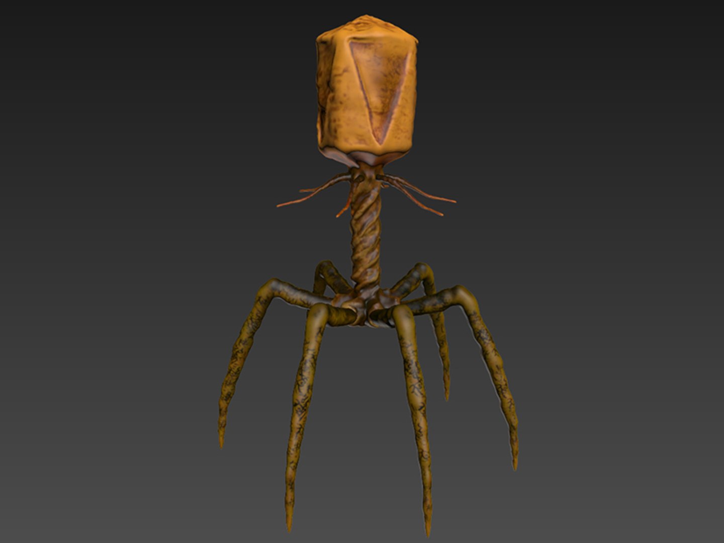 3D model virus https://p.turbosquid.com/ts-thumb/Uj/1iISI1/4bSqqFwP/vireport03/jpg/1570564717/1920x1080/fit_q87/8754c5c0b9af4b529027ff6344afea217ef91d1d/vireport03.jpg
