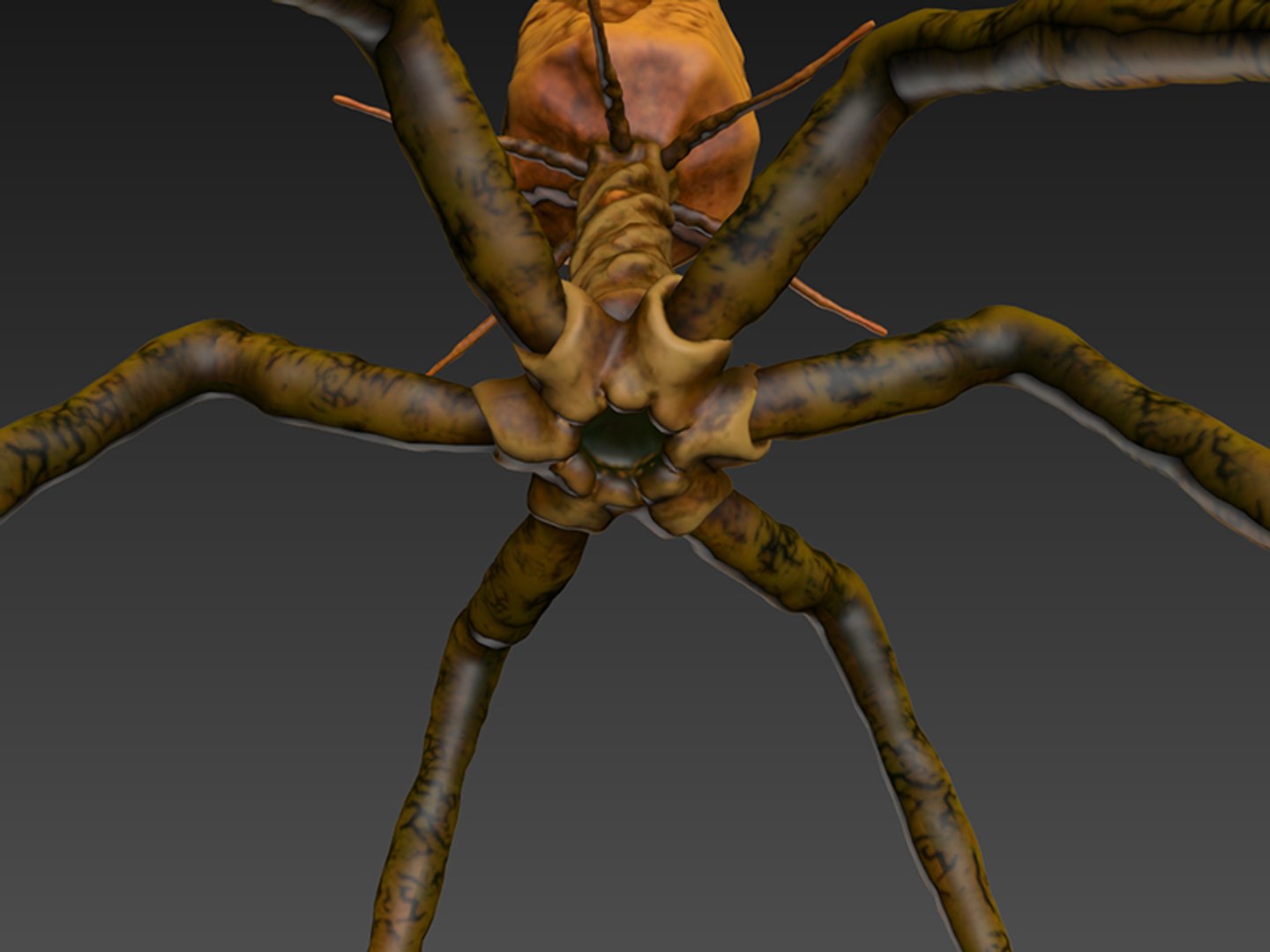 3D model virus https://p.turbosquid.com/ts-thumb/Uj/1iISI1/SJXalHwD/vireport04/jpg/1570564773/1920x1080/fit_q87/28b6d9933c961e65d02aa81c7eb11ab38bcfd48f/vireport04.jpg