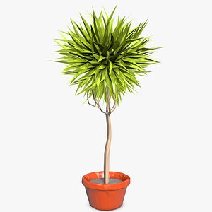 cinema4d cartoon plant style