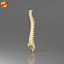 Modello di vertebre