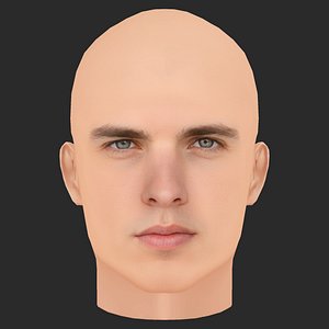 3D Low Poly Ross Kernahan Head model