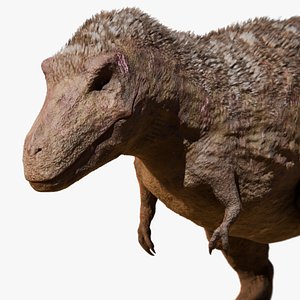 Tyrannosaurus Feathered 3D model