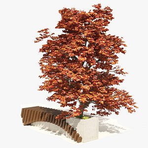 Bench with Kousa Dogwood Tree 3D