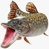 Pike Fish Rigged