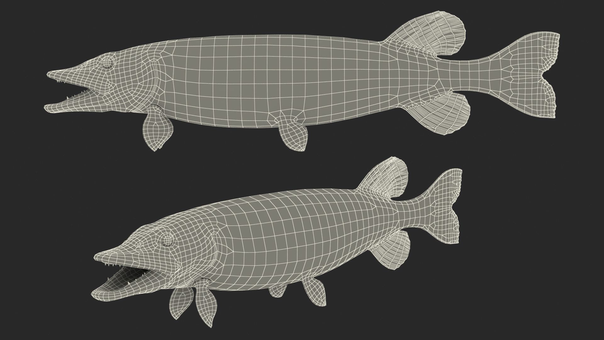 pike fish rigged 3D https://p.turbosquid.com/ts-thumb/Uj/HtRFCB/NcmG6KNb/pike_fish_rigged_361/jpg/1593686222/1920x1080/turn_fit_q99/66f7148192916249d1498fff87bf65665fea0ca0/pike_fish_rigged_361-1.jpg