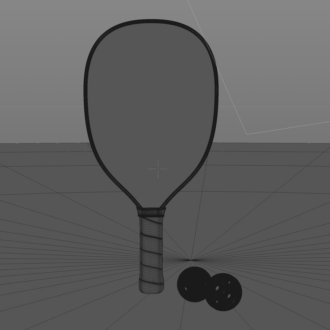 3D Pickleball Set Paddle Balls TurboSquid 2151927