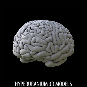 BRAIN